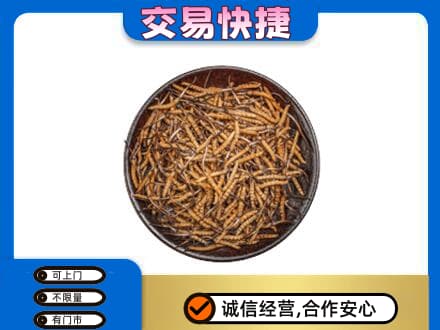 沈阳市苏家屯高价回收散虫草